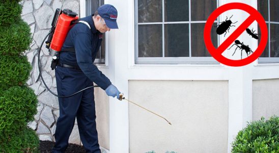Çaykara Hamam Böceği İlaçlama böcek ilaçlama ve haşere kontrolü — ilaclama-tr.com
